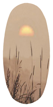 DASOV 334 BZ Harvest Sunrise Bronze